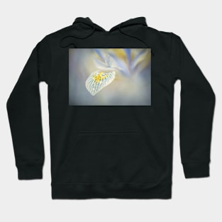 Iris close-up Hoodie